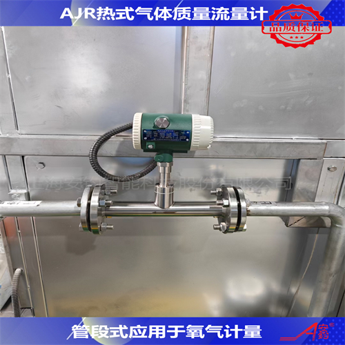 熱式氣體質(zhì)量流量計(jì)DN50測(cè)氮?dú)? onerror=