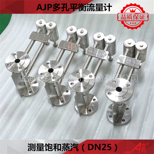 蒸汽計(jì)量多孔平衡流量計(jì)DN1400