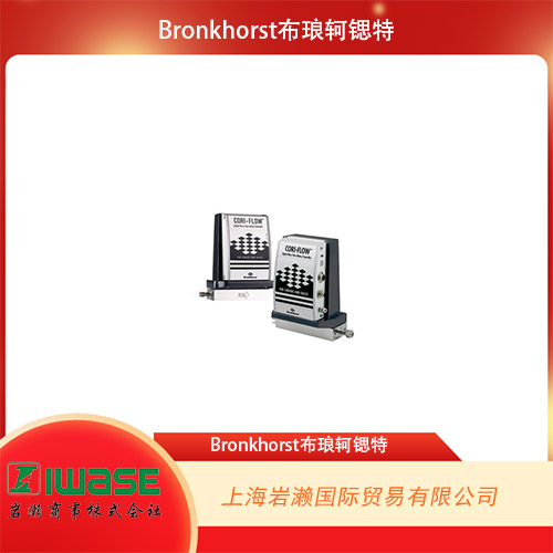 Bronkhorst  氣液兩用質(zhì)量流量控制器  MINI CORI-FLOW? ML120V21