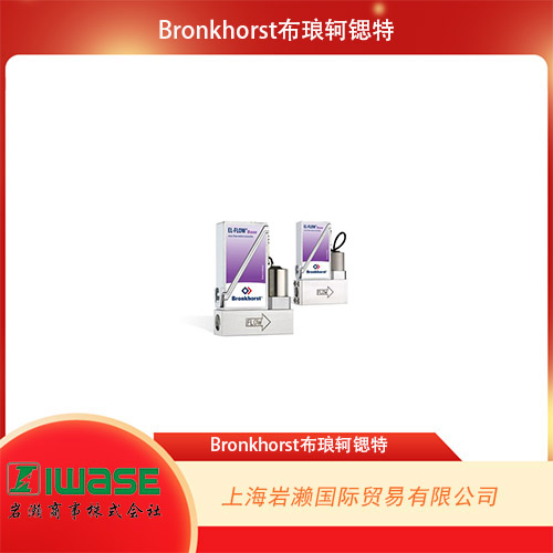 Bronkhorst布瑯軻鍶特 數(shù)字式氣體熱式質(zhì)量流量計 EL-FLOW Select F-111B