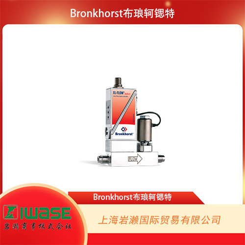 Bronkhorst  金屬密封氣體質量流量計  F-201CM