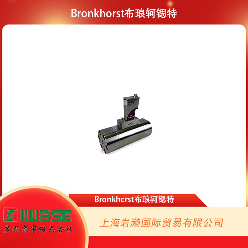 Bronkhorst   大流量氣體流量計 IN-FLOW ‘High-Flow’ F-136BI