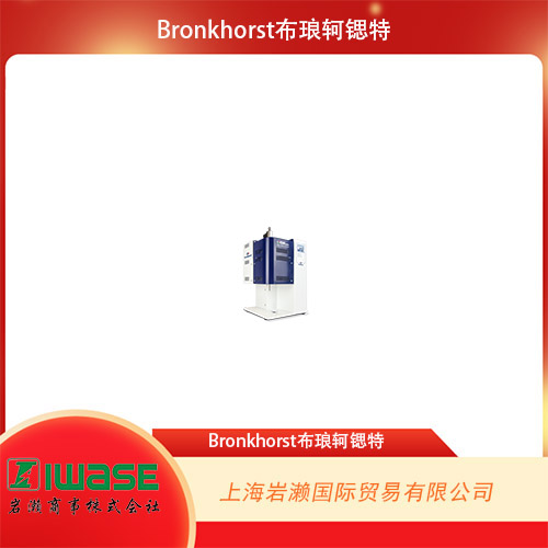 Bronkhorst布瑯軻鍶特 一體集成液體源汽化器 SW-200