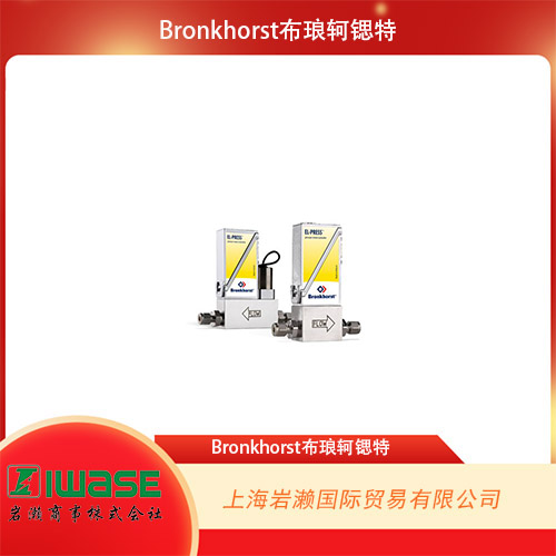 Bronkhorst布瑯軻鍶特  數(shù)字式電子壓力計/控制器 EL-PRESS 