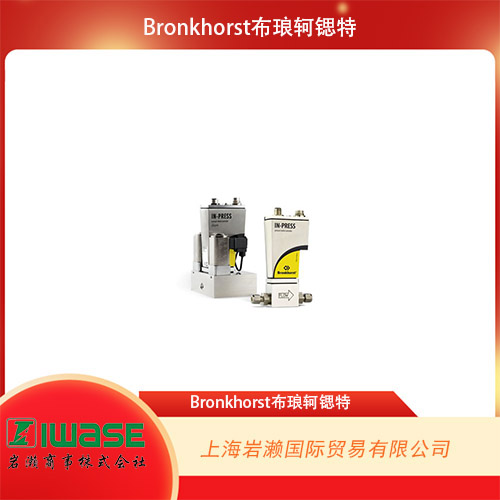Bronkhorst  工業(yè)用數(shù)字式壓力計/控制器 IN-PRESS 