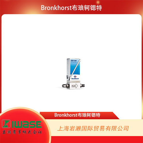 Bronkhorst  熱式液體質(zhì)量流量計 LIQUI-FLOW? L13