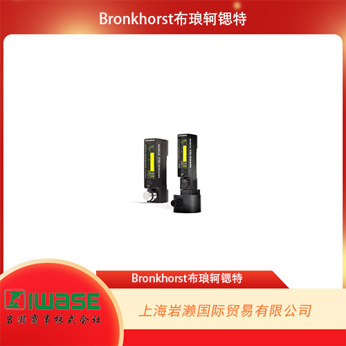 Bronkhorst  替代轉(zhuǎn)子流量計 MASS-VIEW