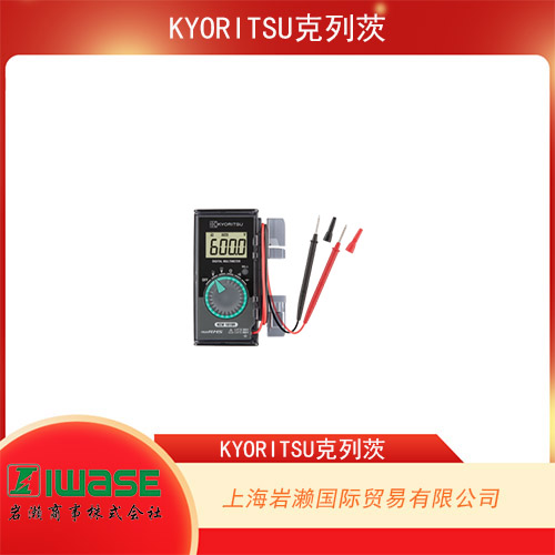 日本共立KYORITSU  高精度過(guò)程行業(yè)鉗形表  KEW 2500