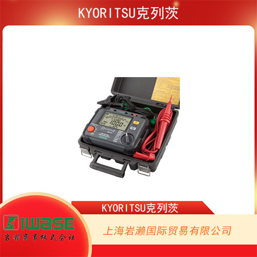 日本共立KYORITSU  高精度過(guò)程行業(yè)鉗形表  KEW 2500