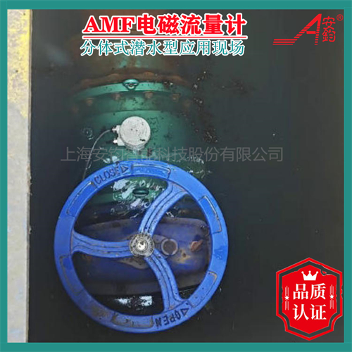 循環(huán)水流量監(jiān)測(cè)電磁流量計(jì)DN1200