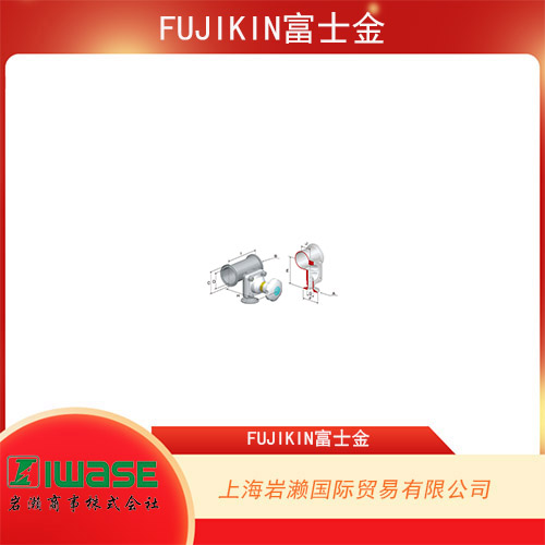 FUJIKIN富士金 不銹鋼手動無磨損隔膜閥 BSWTPR-A1-7D