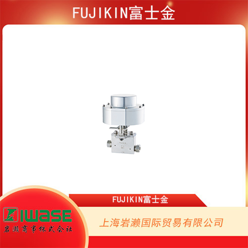 FUJIKIN富士金 不銹鋼溢流閥 VURF-041L-6.35-V