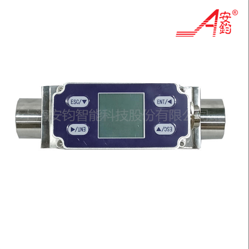 MINI熱式氣體質量流量計DN20