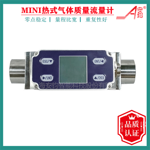 MINI熱式氣體質量流量計AE系列DN10