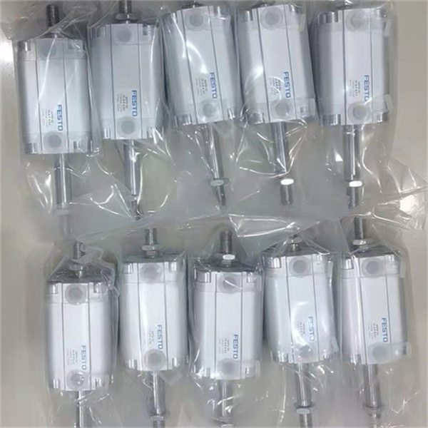 FESTO氣缸帶固定擋塊DSBG-100-300-PPVA-N3T4??