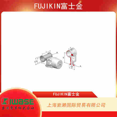 日本FUJIKIN富士金 不銹鋼自動(dòng)耐磨型隔膜閥 BNWO-100PE-5M