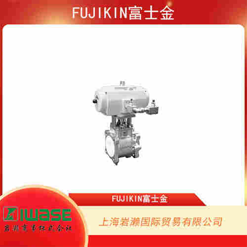 日本FUJIKIN富士金 不銹鋼自動(dòng)耐磨型隔膜閥 BNWO-100PE-5M