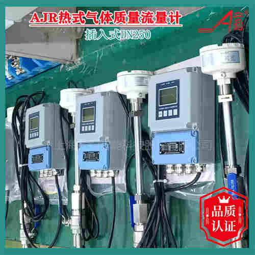 插入式熱式氣體質(zhì)量流量計(jì)DN65