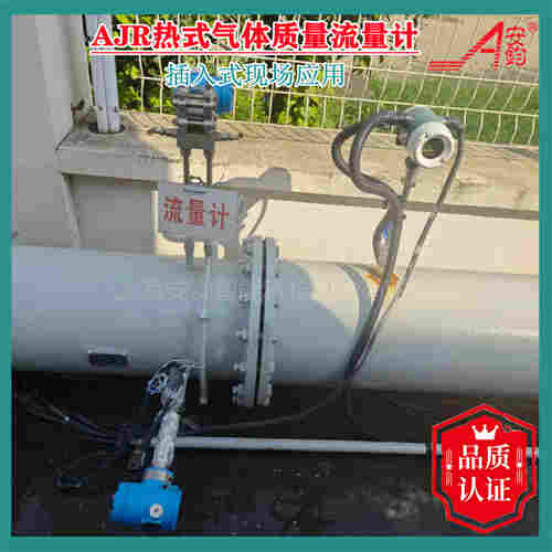熱式氣體質(zhì)量流量計(jì)DN700測(cè)氮?dú)? onerror=