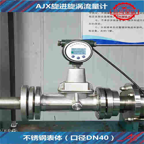 旋進(jìn)旋渦流量計(jì)DN40天然氣計(jì)量
