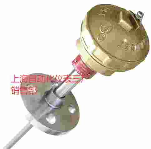 DN25固定法蘭裝配式熱電偶WRN-420A