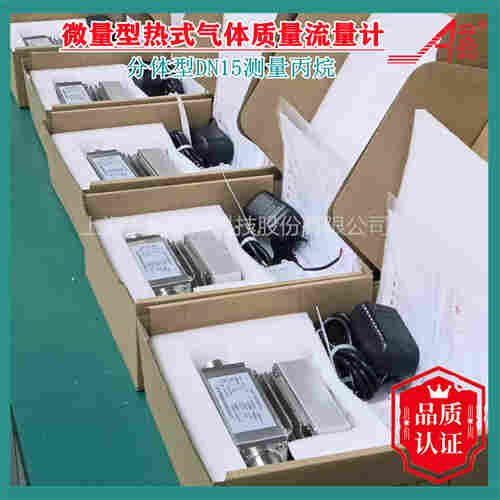 MINI熱式氣體質量流量計AE系列DN32