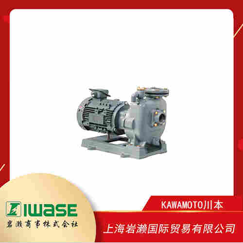 KAWAMOTO川本 淡水潛水泵 DUY2-255-0.5S