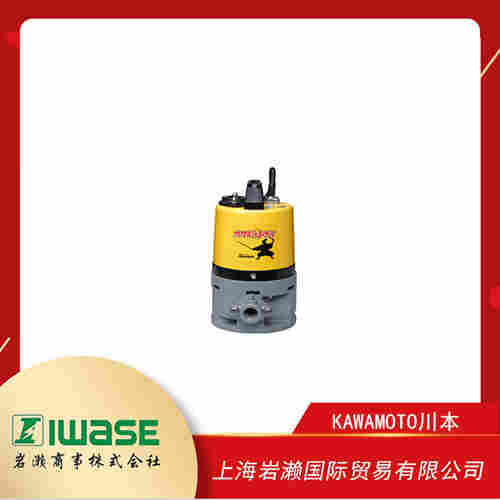 KAWAMOTO川本 淡水潛水泵 DUY2-255-0.5S
