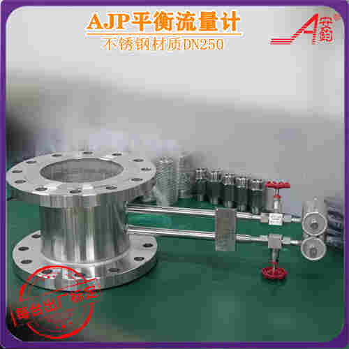 多孔平衡流量計DN500測蒸汽