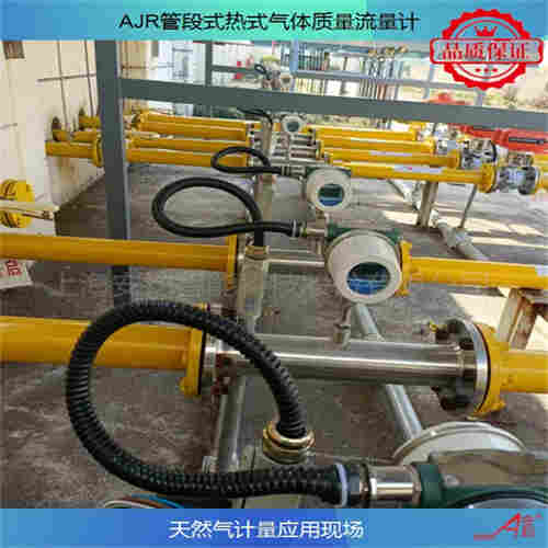 插入式熱式氣體質量流量計DN1000