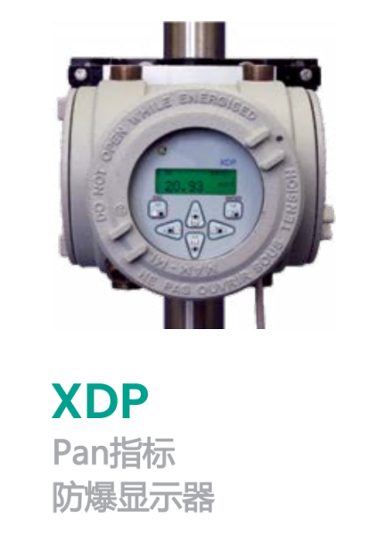 GE 顺磁氧分析仪