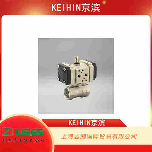 KEIHIN京濱 小型不銹鋼止回閥 NR2-S-8