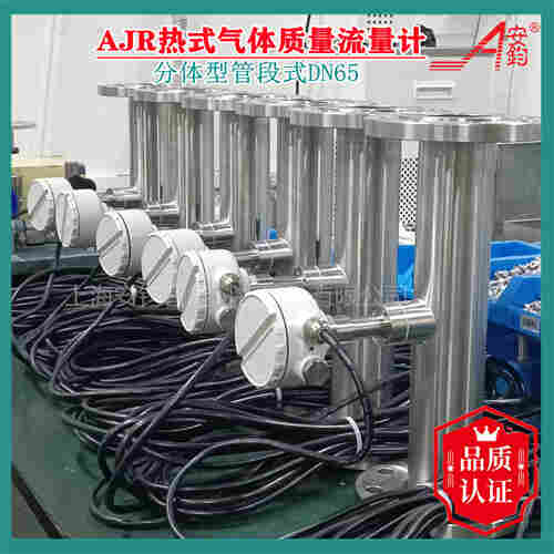AJR型熱式氣體質量流量計DN50