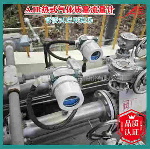 AJR型熱式氣體質量流量計DN40