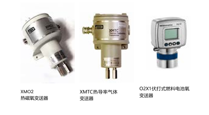 panametrics TMO2D 顯示和控制模塊