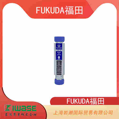 FUKUDA福田 紧凑型特殊规格泄漏测试仪 FLZ-0220-A2  