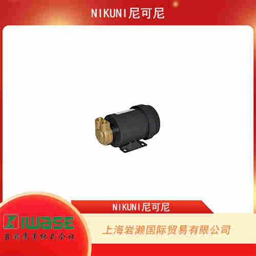 NIKUNI尼可尼  中等壓力高流量不銹鋼旋風(fēng)泵 100CFE