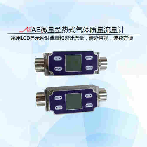 微量型熱式氣體質量流量計DN10計量一氧化氮