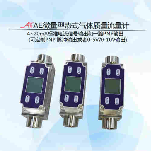 微量型熱式氣體質量流量計DN8計量一氧化氮