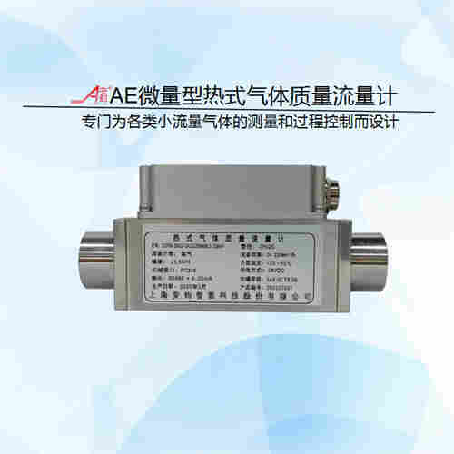 微量型熱式氣體質量流量計DN25計量一氧化氮