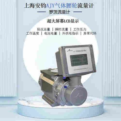 AJY燃?xì)庥?jì)量氣體腰輪流量計(jì)DN25