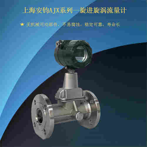 旋进旋涡流量计DN200氯气计量