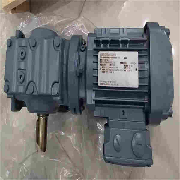德国SEW斜齿轮双链电机截面图R67 DR71S4