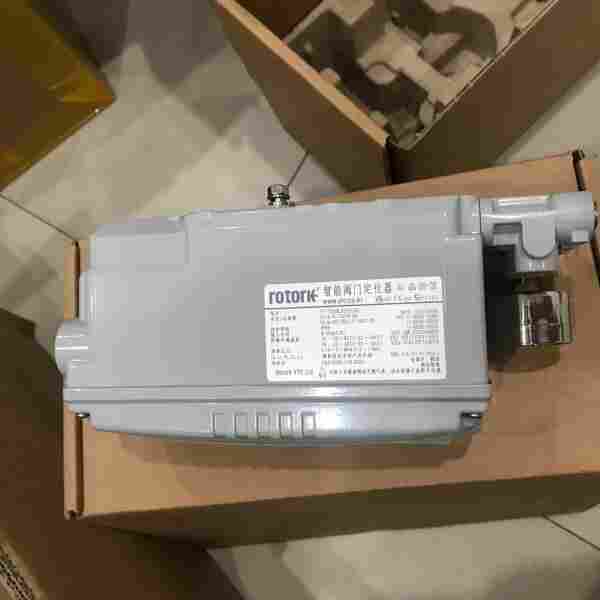 罗托克YTC阀门定位器YT-1000RDN132H00