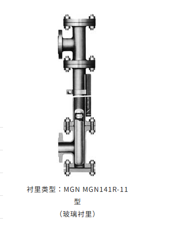 KLINGAGE 磁性浮球式液位计 MGN100系列内衬类型MGN型号