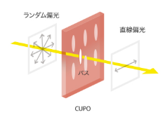 HOYA 豪雅 近红外偏光玻璃CUPO