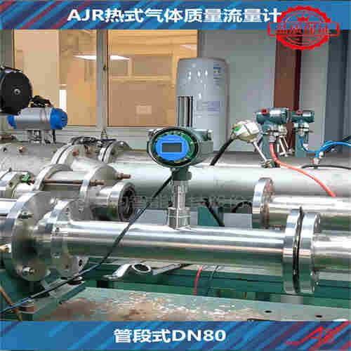 热式气体质量流量计DN80AJR型